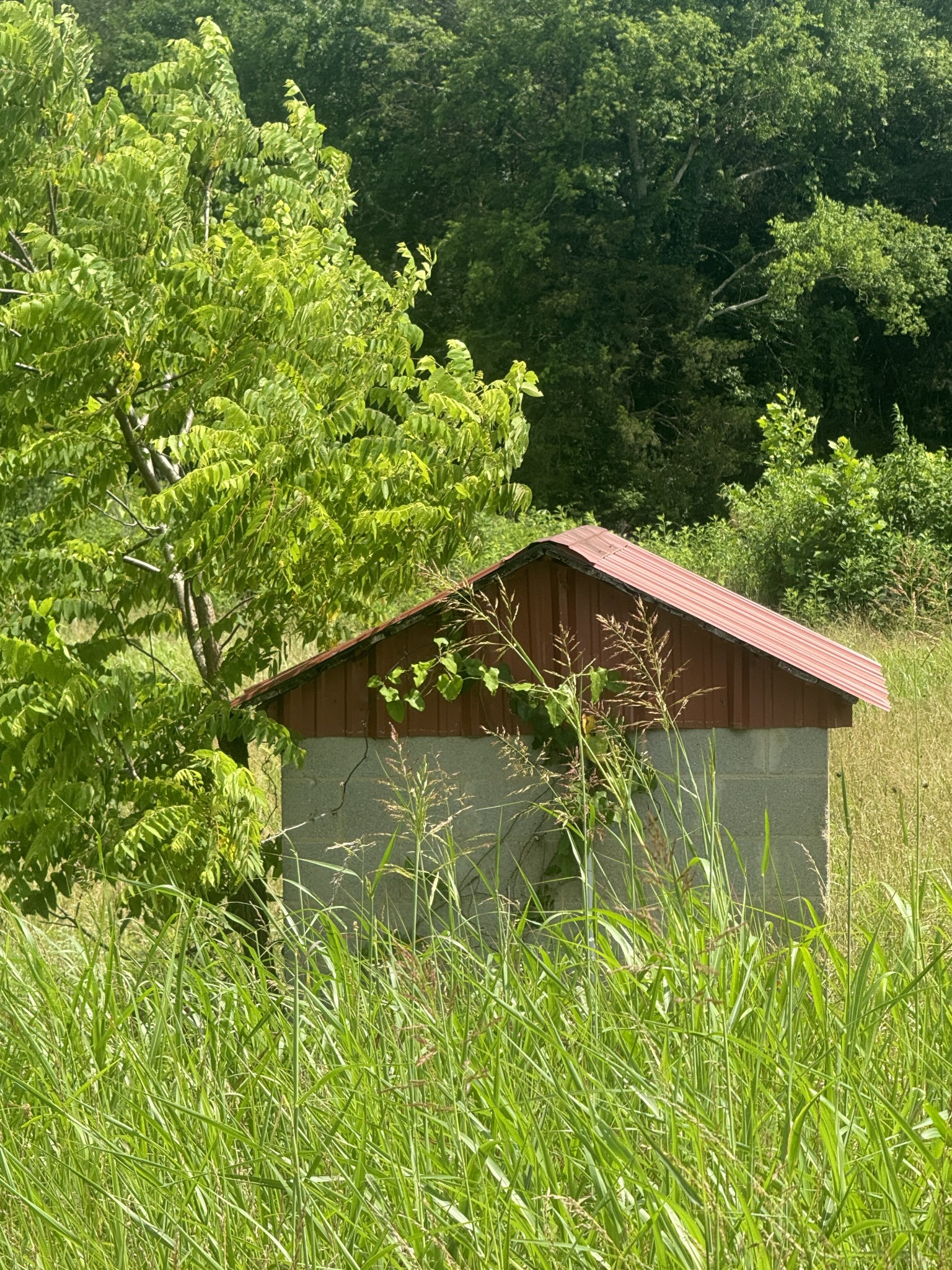 210 Wheel Road Shelbyville, TN 37160 - Photo 14 of 19