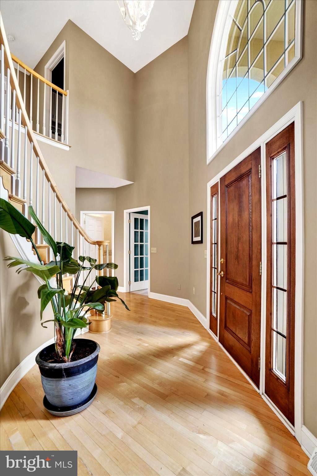 750 Rydell Drive Dallastown, PA 17313 - Photo 22 of 61 a living room with furniture and a potted plant