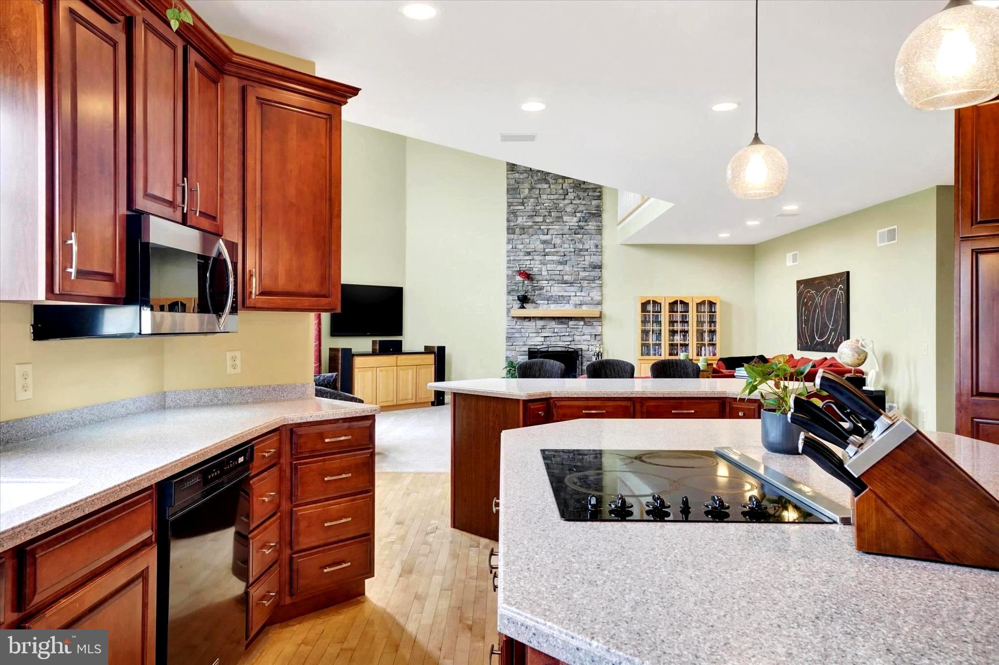 750 Rydell Drive Dallastown, PA 17313 - Photo 32 of 61 a living room with stainless steel appliances granite countertop furniture a fireplace a flat screen tv and a window