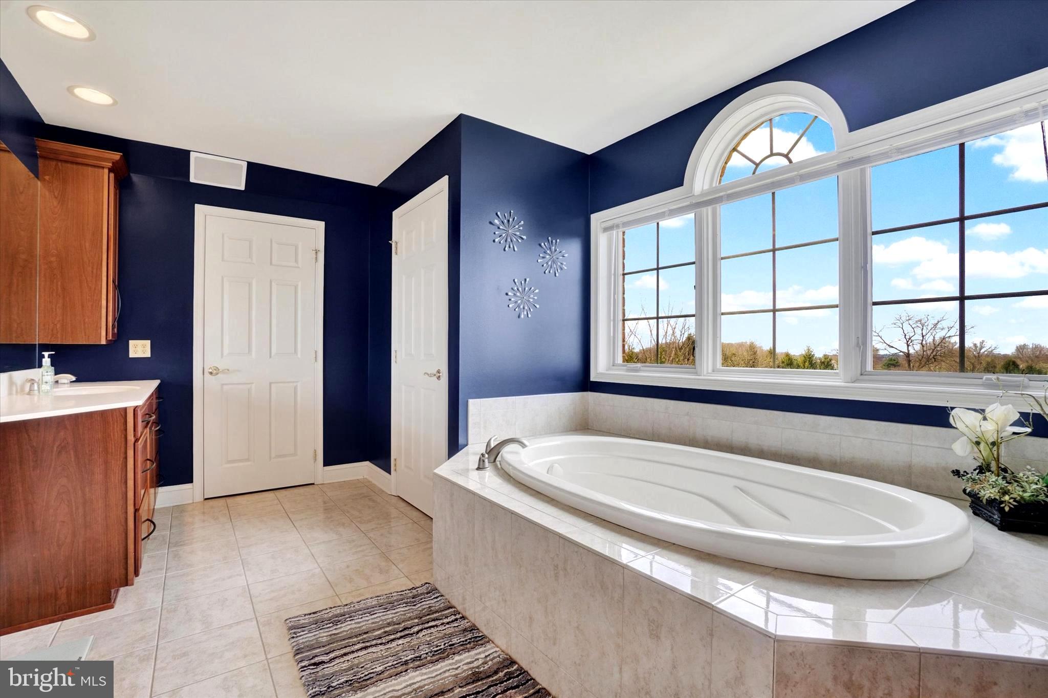 750 Rydell Drive Dallastown, PA 17313 - Photo 47 of 61 a spacious bathroom with a tub and a large mirror