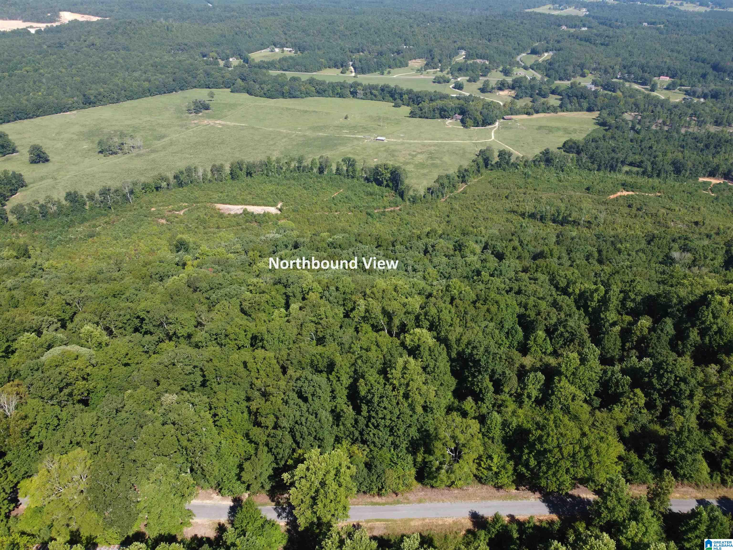 0 Beaver Mountain Road Ashville, AL 35953 - Photo 2 of 40