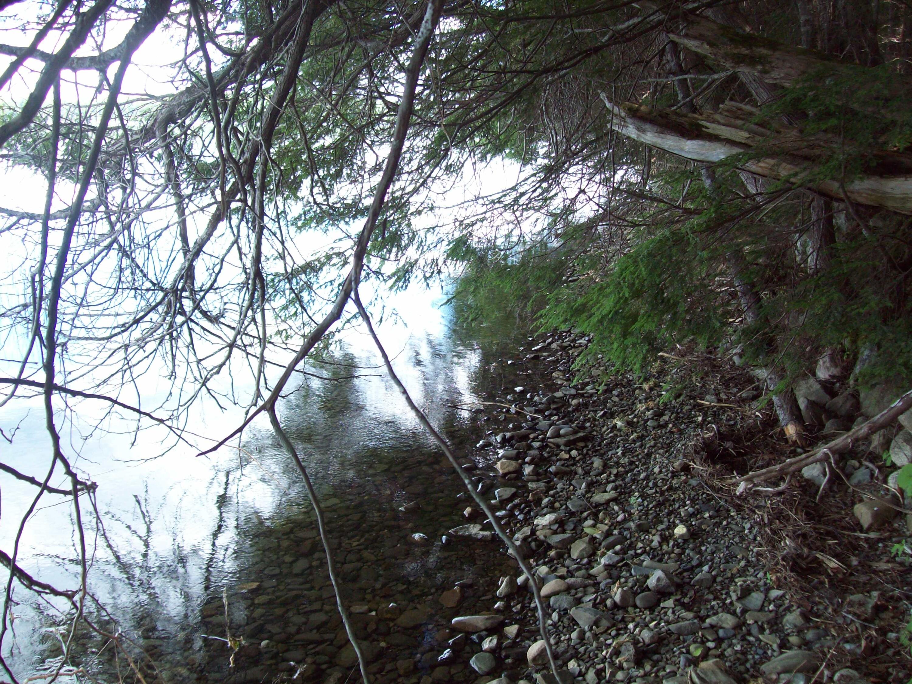 Tbd Little River Cove Road Weston, ME 04424 - Photo 10 of 12 100_3015