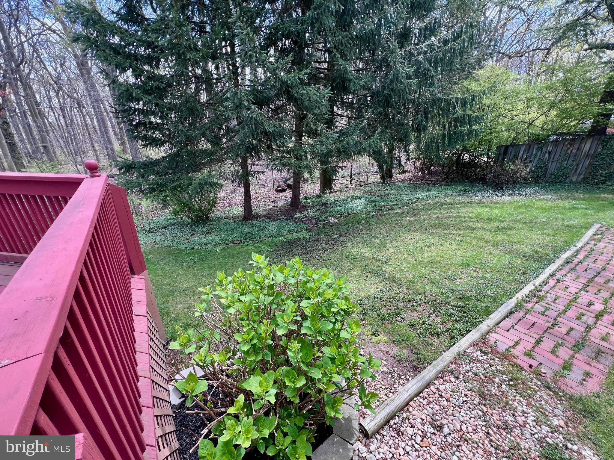 2418 Marilyn Drive Wilmington, DE 19810 - Photo 45 of 46 a view of backyard with green space
