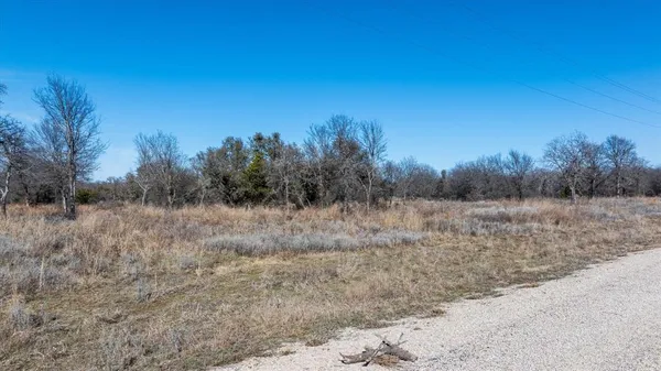 a view of a dry yard with trees