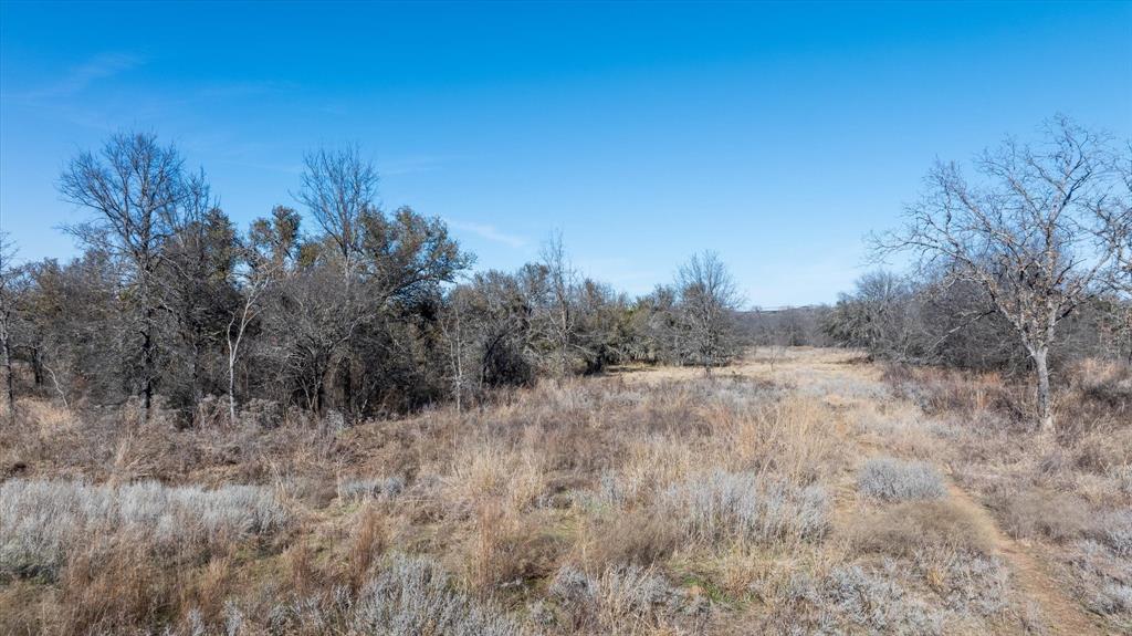 Lot 27 Paradise Oaks Ranch Perrin, TX 76486 - Photo 7 of 21 a view of a dry yard