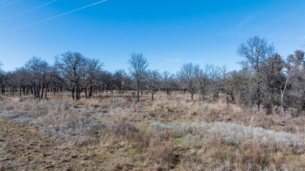 Lot 27 Paradise Oaks Ranch Perrin, TX 76486 - Photo 8 of 21 a view of a dry yard with trees