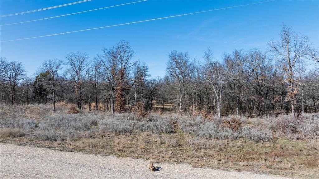 Lot 27 Paradise Oaks Ranch Perrin, TX 76486 - Photo 9 of 21 a view of a dry yard with trees in the background
