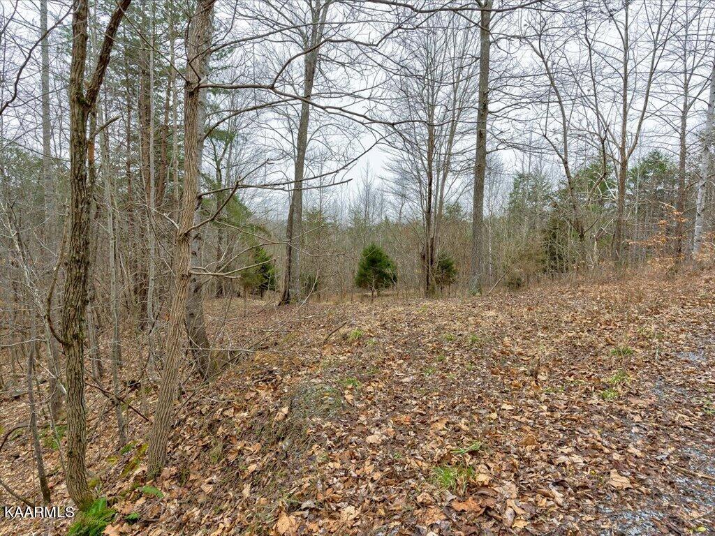 Lot 282 Bluff View Road New Tazewell, TN 37825 - Photo 13 of 32 Lot 282 Bluff View Rd - 13