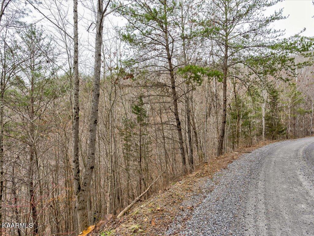 Lot 282 Bluff View Road New Tazewell, TN 37825 - Photo 14 of 32 Lot 282 Bluff View Rd - 14