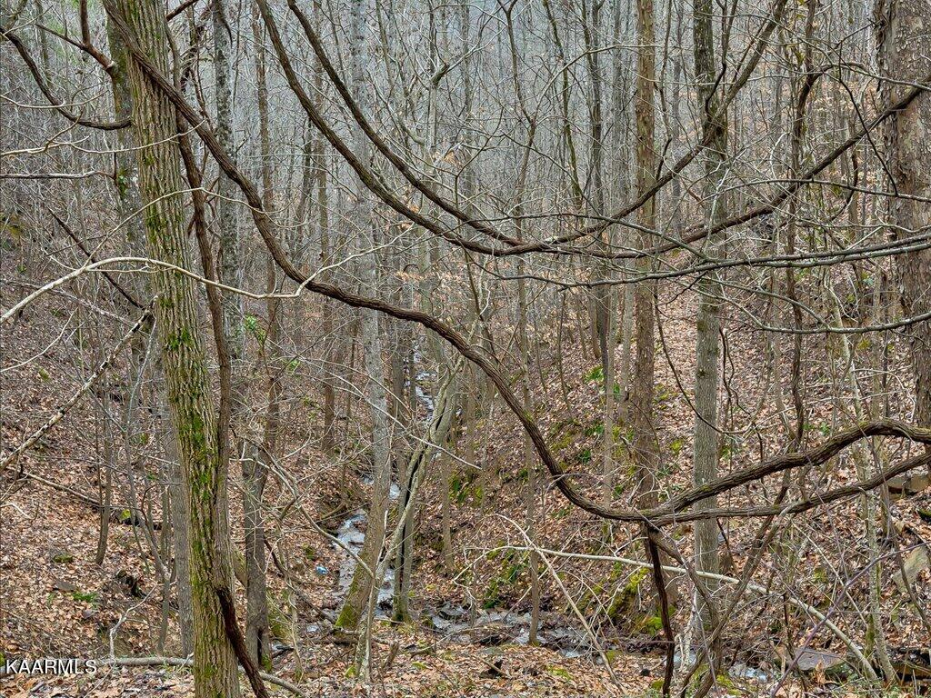Lot 282 Bluff View Road New Tazewell, TN 37825 - Photo 15 of 32 Lot 282 Bluff View Rd - 15