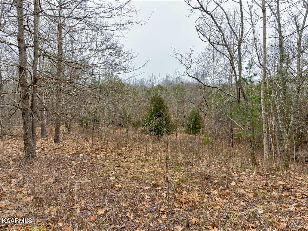 Lot 282 Bluff View Road New Tazewell, TN 37825 - Photo 16 of 32 Lot 282 Bluff View Rd - 16