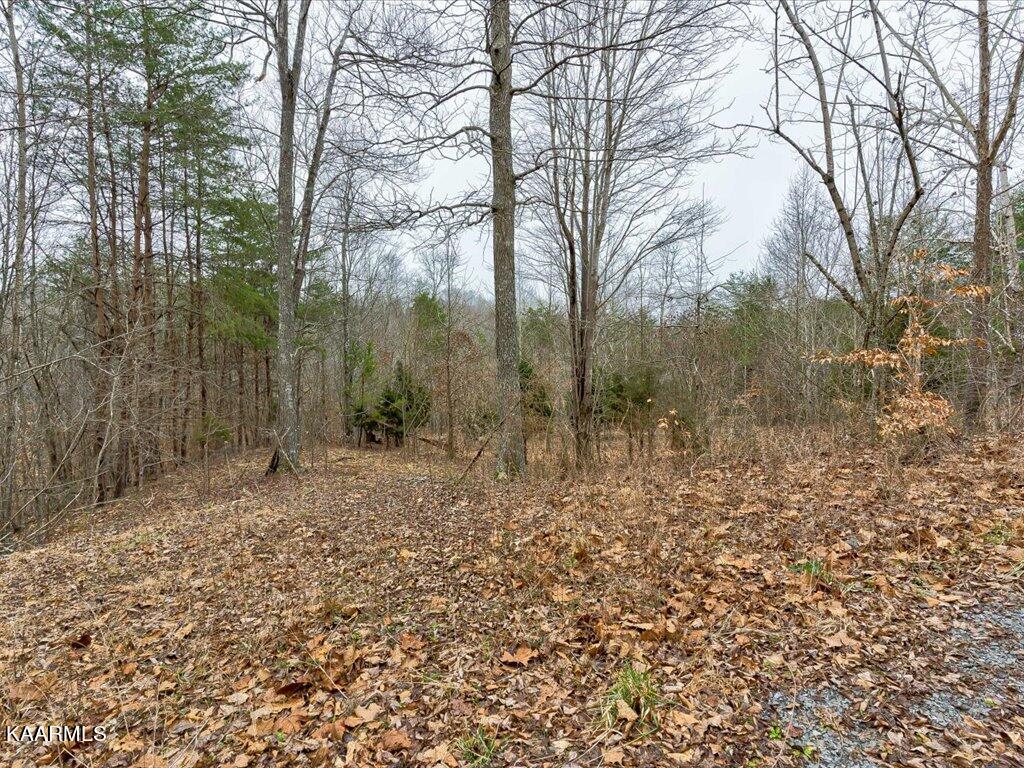 Lot 282 Bluff View Road New Tazewell, TN 37825 - Photo 17 of 32 Lot 282 Bluff View Rd - 17