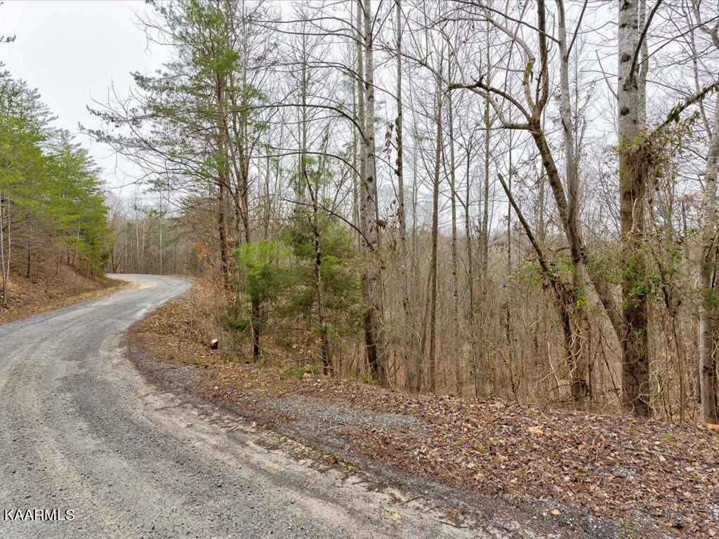 Lot 282 Bluff View Road New Tazewell, TN 37825 - Photo 18 of 32 Lot 282 Bluff View Rd - 18