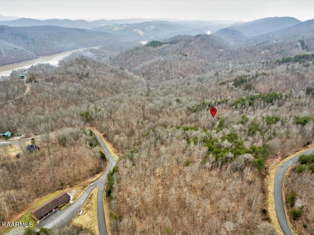 Lot 282 Bluff View Road New Tazewell, TN 37825 - Photo 2 of 32 Lot 282 Bluff View Rd - 2