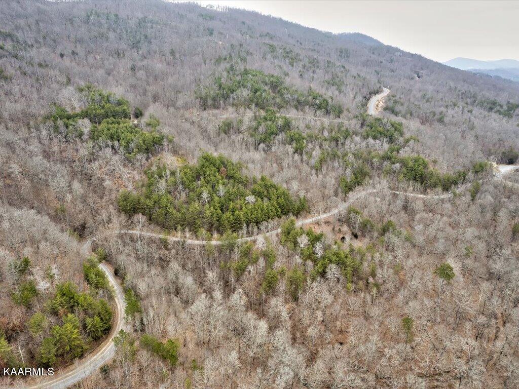 Lot 282 Bluff View Road New Tazewell, TN 37825 - Photo 21 of 32 Lot 282 Bluff View Rd - 21
