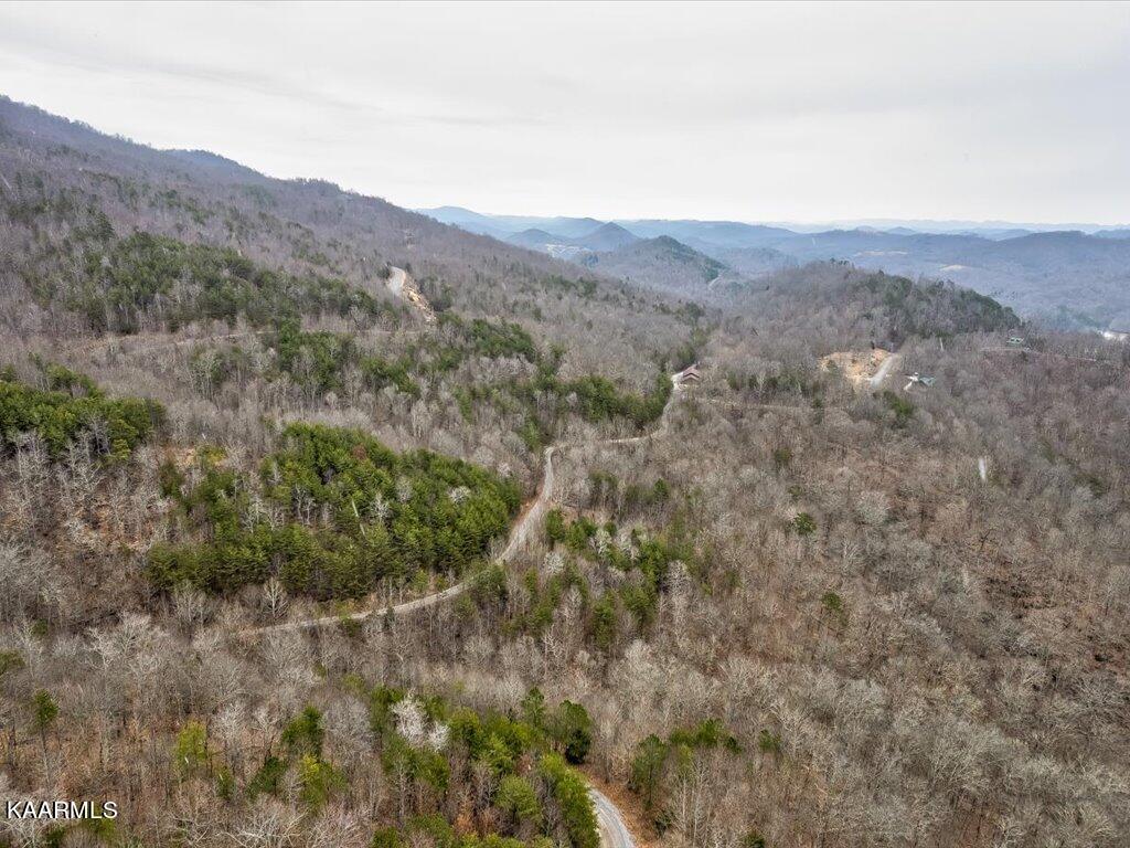 Lot 282 Bluff View Road New Tazewell, TN 37825 - Photo 22 of 32 Lot 282 Bluff View Rd - 22