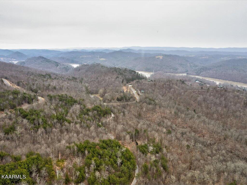 Lot 282 Bluff View Road New Tazewell, TN 37825 - Photo 23 of 32 Lot 282 Bluff View Rd - 23