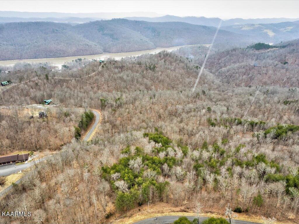 Lot 282 Bluff View Road New Tazewell, TN 37825 - Photo 25 of 32 Lot 282 Bluff View Rd - 25