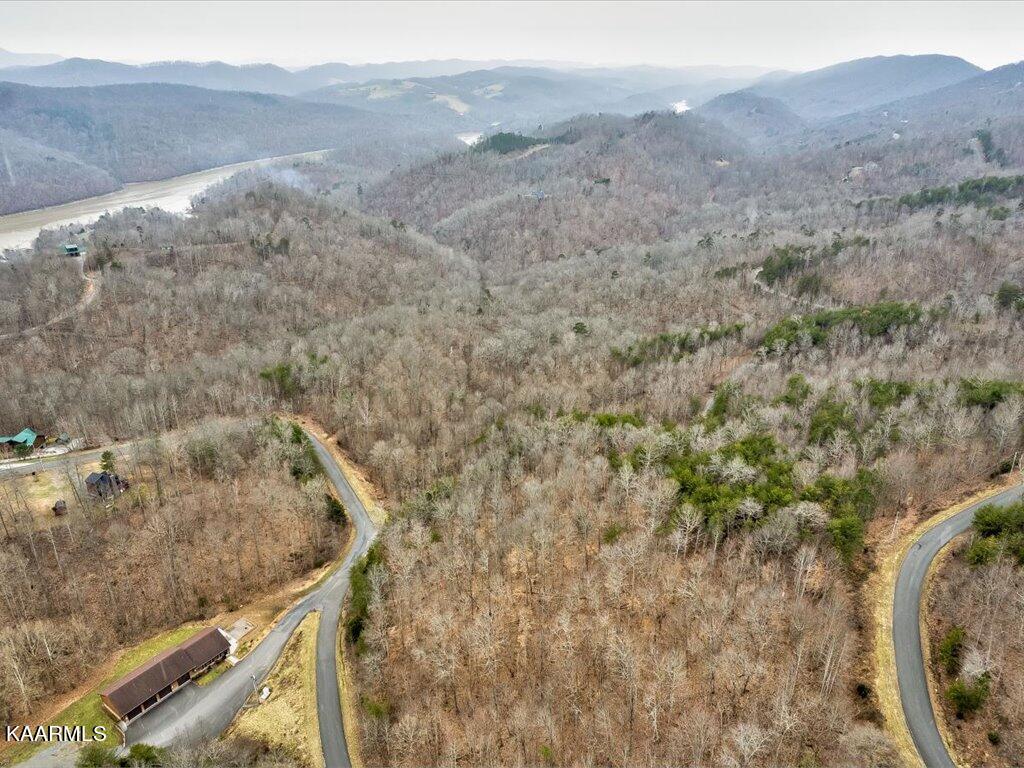 Lot 282 Bluff View Road New Tazewell, TN 37825 - Photo 26 of 32 Lot 282 Bluff View Rd - 26