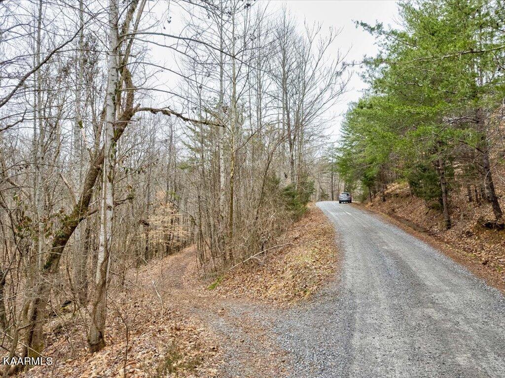 Lot 282 Bluff View Road New Tazewell, TN 37825 - Photo 3 of 32 Lot 282 Bluff View Rd - 3