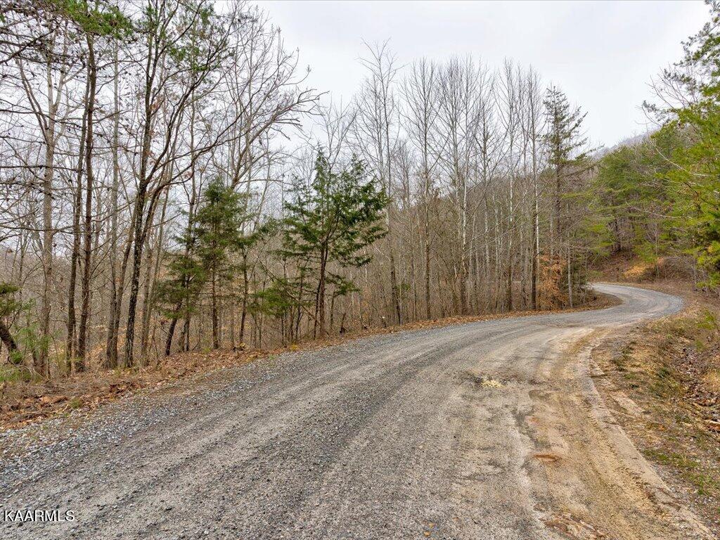 Lot 282 Bluff View Road New Tazewell, TN 37825 - Photo 4 of 32 Lot 282 Bluff View Rd - 4
