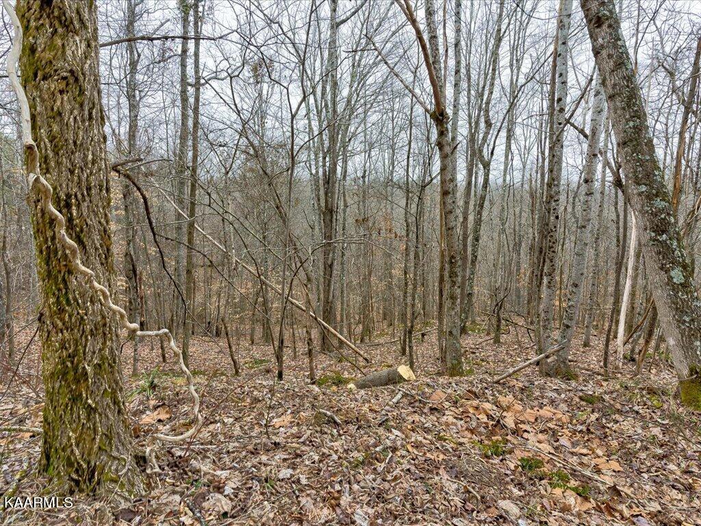 Lot 282 Bluff View Road New Tazewell, TN 37825 - Photo 5 of 32 Lot 282 Bluff View Rd - 5
