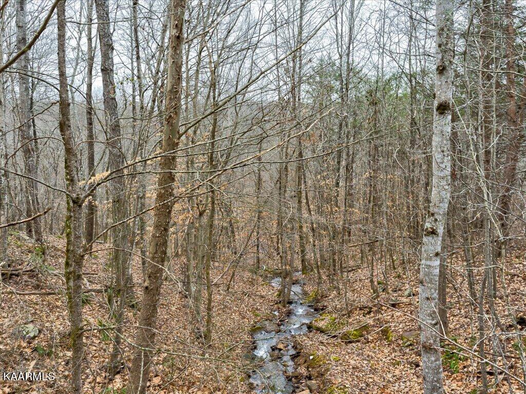 Lot 282 Bluff View Road New Tazewell, TN 37825 - Photo 7 of 32 Lot 282 Bluff View Rd - 7