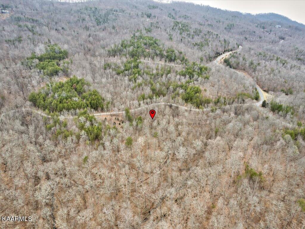 Lot 282 Bluff View Road New Tazewell, TN 37825 - Photo 8 of 32 Lot 282 Bluff View Rd - 8