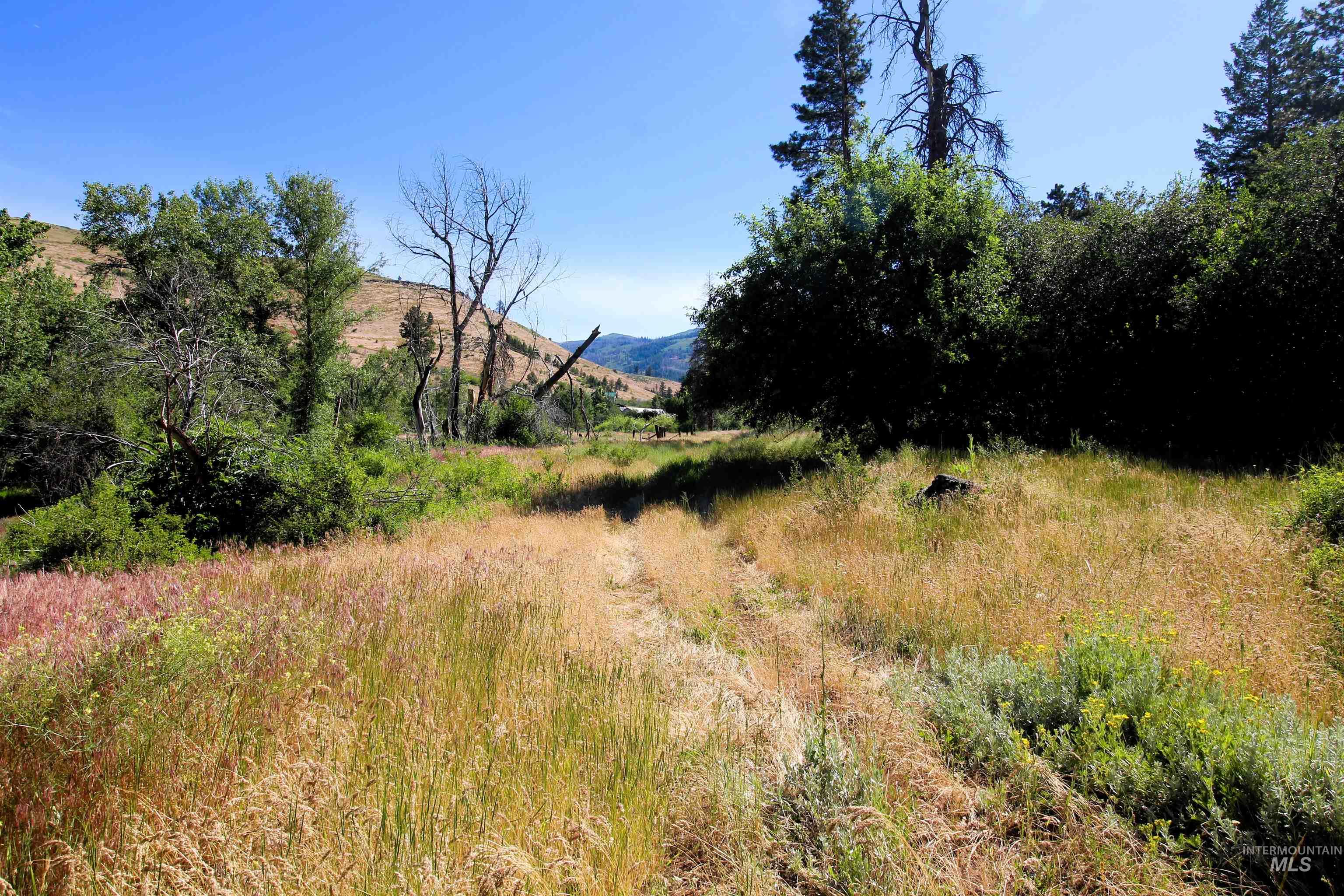 Tbd Advent Gulch Road Cambridge, ID 83610 - Photo 19 of 30