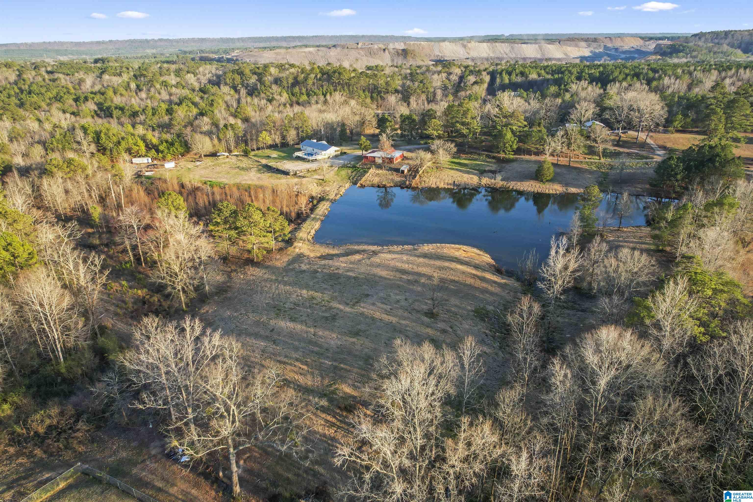 7080 Parsons Lake Road Adger, AL 35006 - Photo 56 of 59
