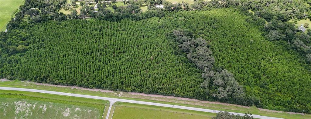 a view of a yard from a balcony