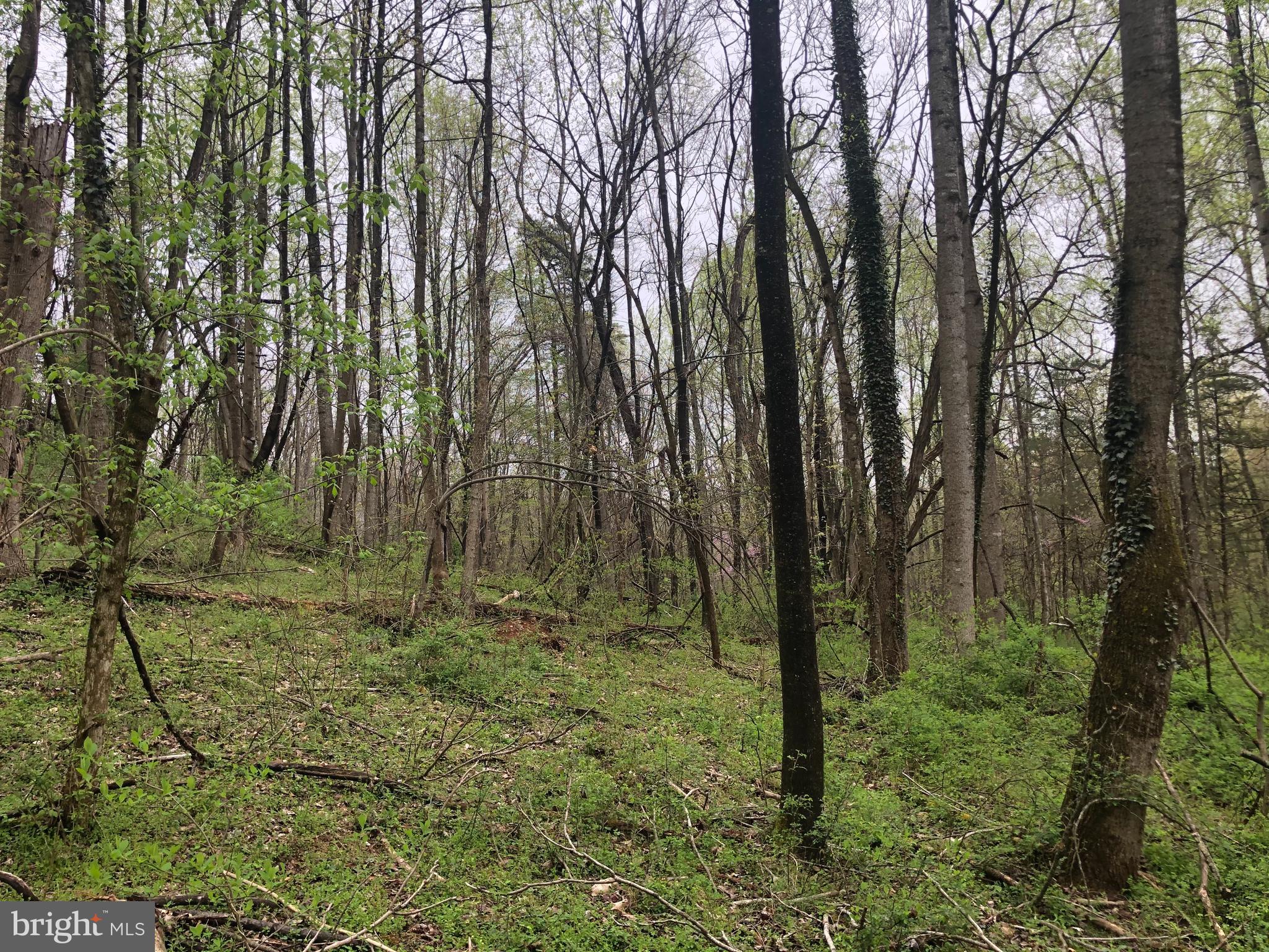 Acreage to do all the outdoor activities you love