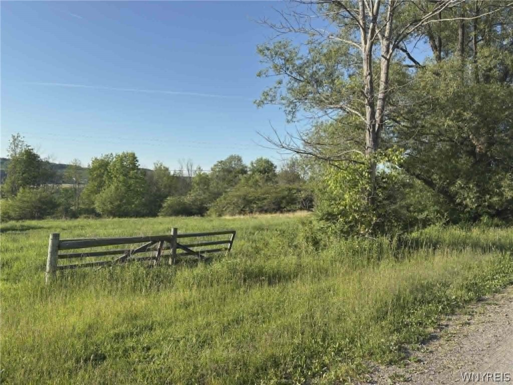 Spring Valley Road Black Creek, NY 14714 - Photo 16 of 17 Gallery Image 16