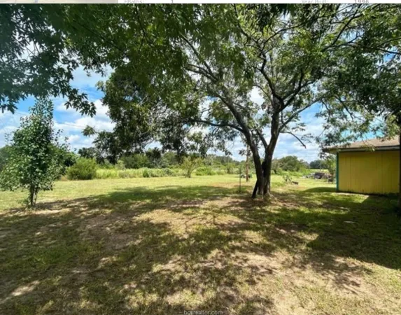a view of outdoor space with trees all around