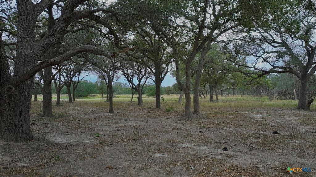 0 Garcitas Crk Rnch Road Inez, TX 77968 - Photo 11 of 13 a view of outdoor space with trees