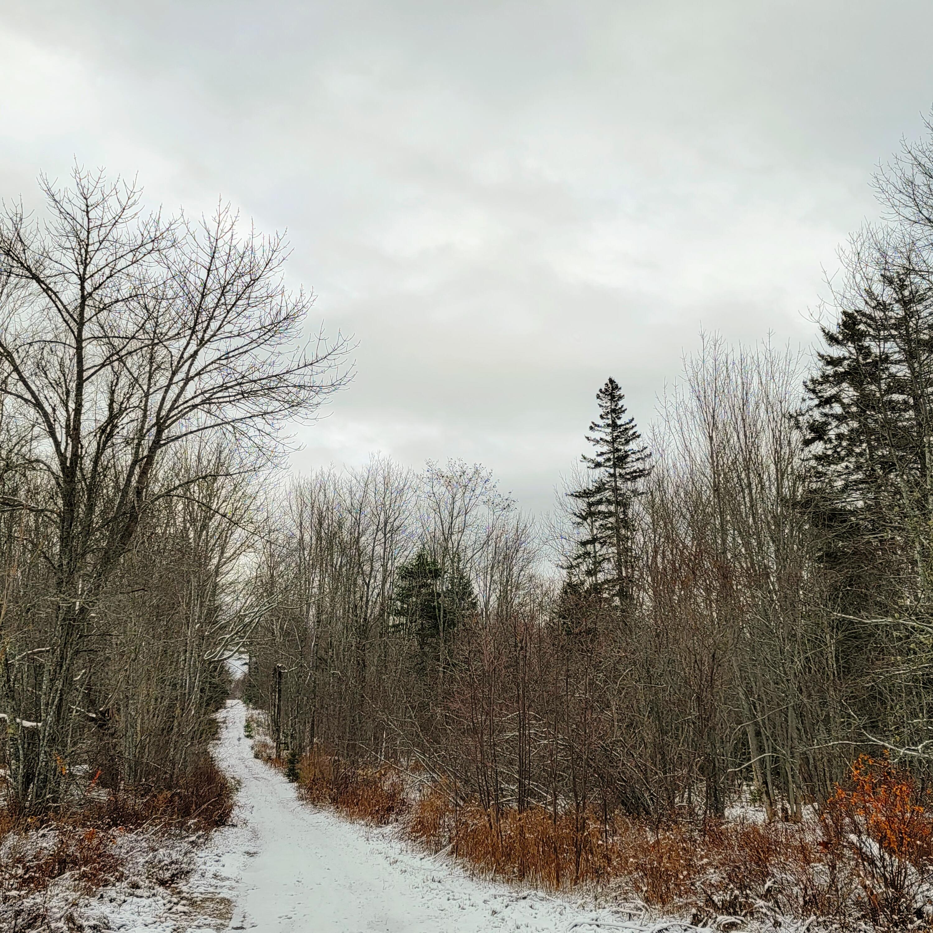 0 Ashville Road Sullivan, ME 04664 - Photo 8 of 42 20211129_123156