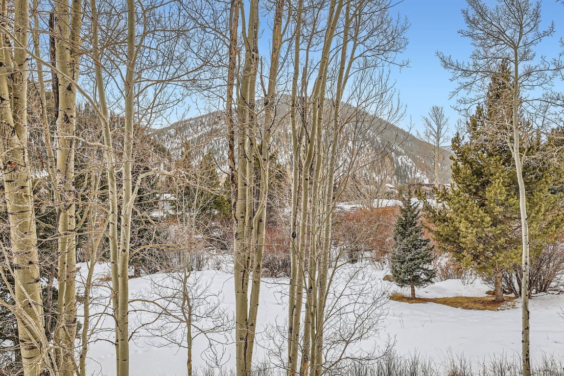 620 Tennis Club Road, Unit 1339 Keystone, CO 80435 - Photo 45 of 49 Snow-draped peaks and evergreen forests stretch into the distance, offering a picturesque setting that changes beautifully with the seasons.