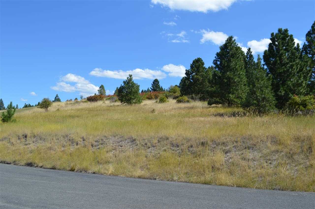 11405 South Progress Road Mica, WA 99023 - Photo 1 of 2