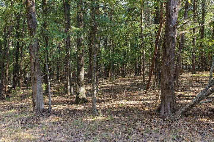 0 Lazy Acres Road Protem, MO 65733 - Photo 1 of 28 dji_fly_20260904_163840_0159_17888737426
