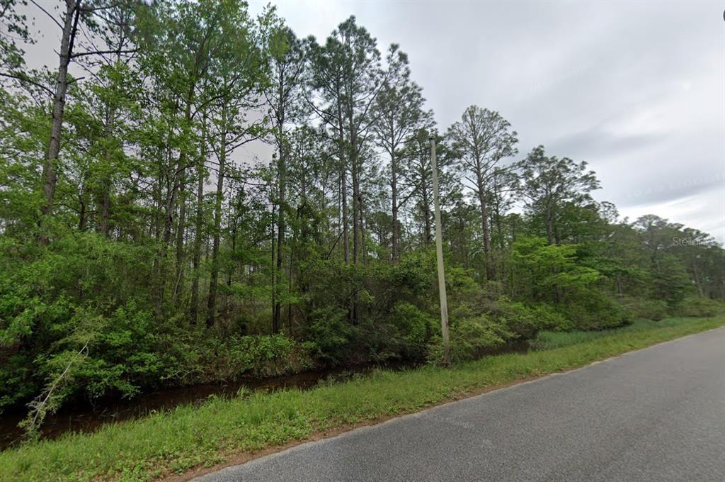 10600 Pearson Road Milton, FL 32583 - Photo 4 of 11 a view of a forest with a trees