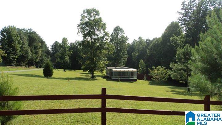 20 Coshatt Road Pell City, AL 35125 - Photo 3 of 12