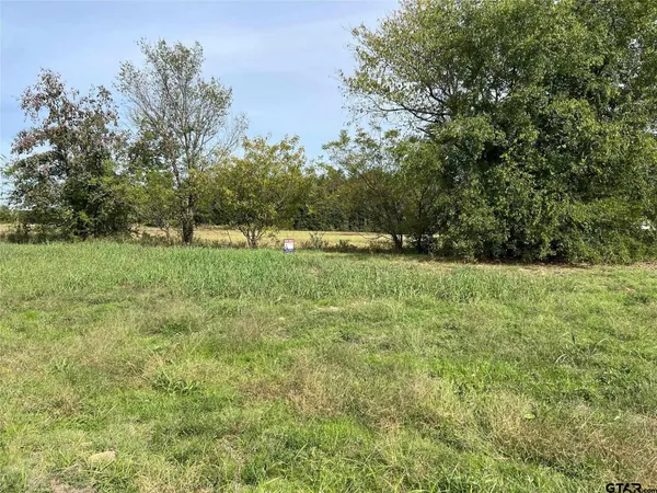 $98,000 | 271 South US Highway 271, Pittsburg, TX 75686