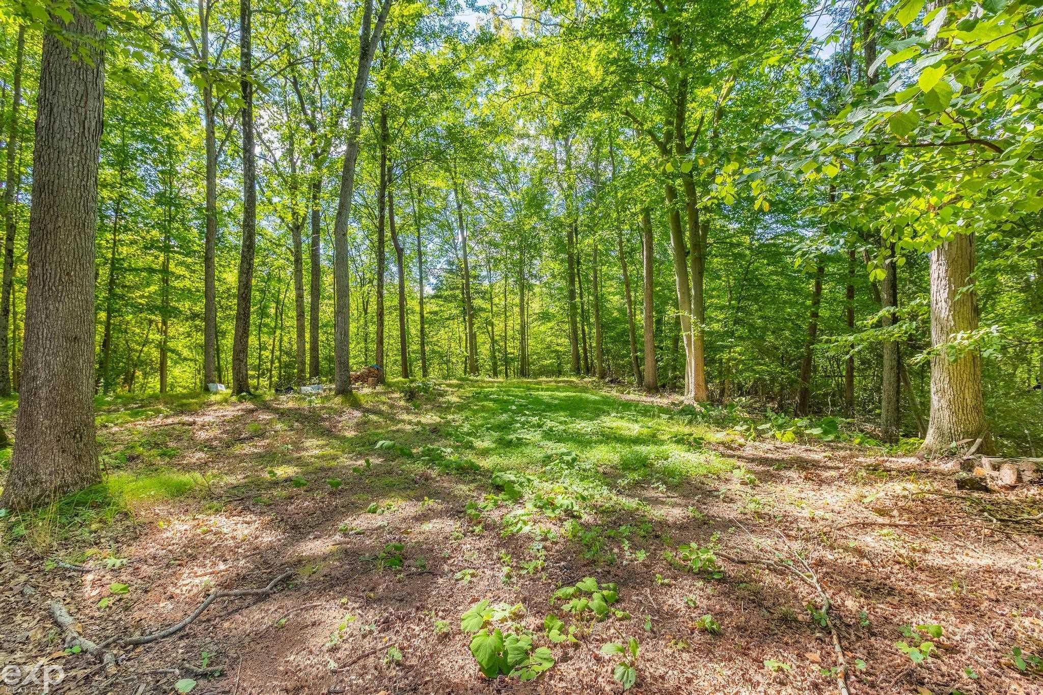 3000 Stanton Road Oxford, MI 48371 - Photo 43 of 58