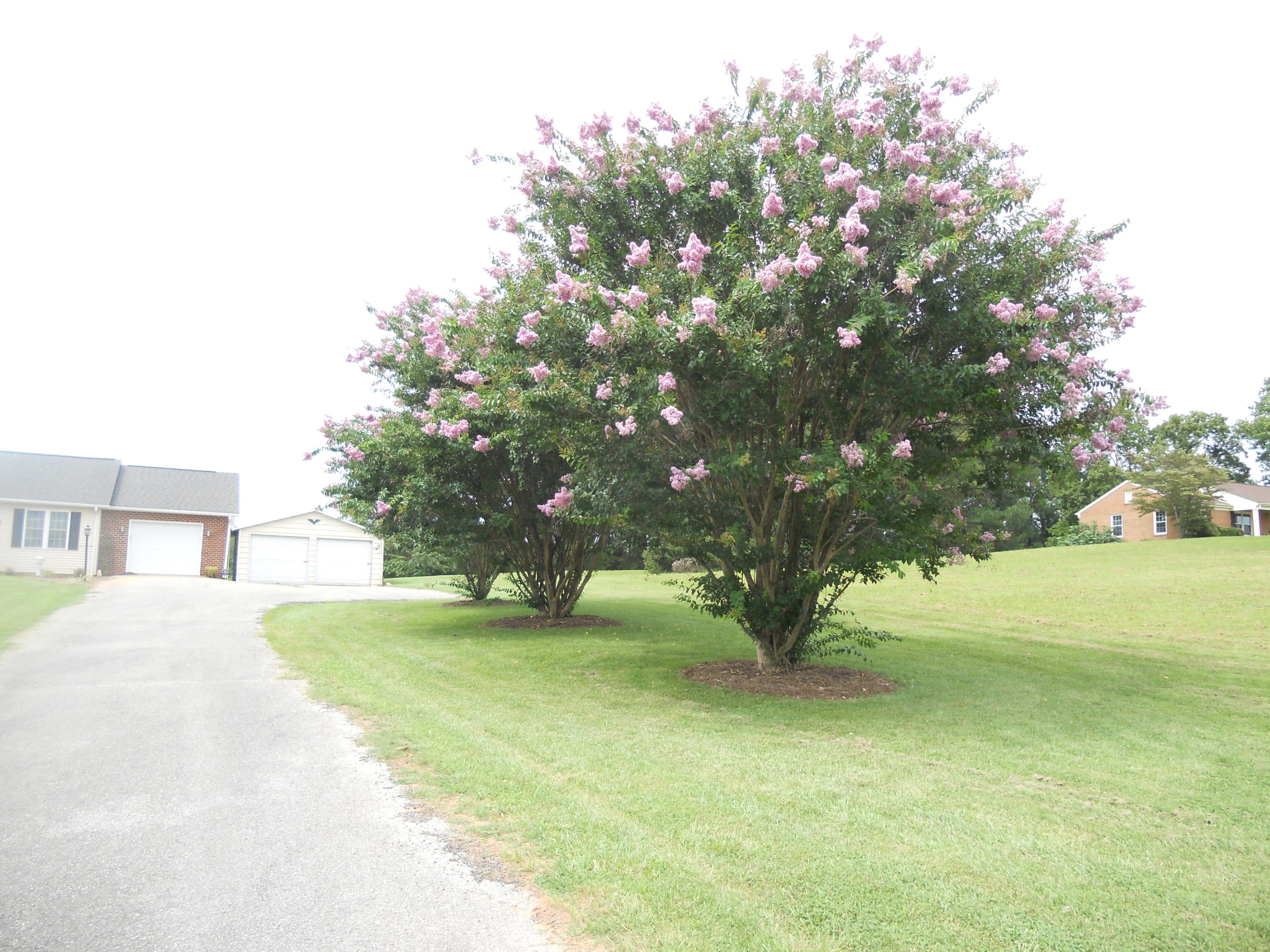 2211 Moneta Road Bedford, VA 24523 - Photo 14 of 46 DSCN5989