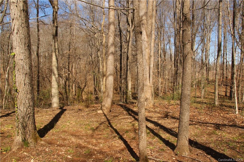 5608 Davis Road, Unit 20 Waxhaw, NC 28173 - Photo 7 of 21 a view of wooden floor