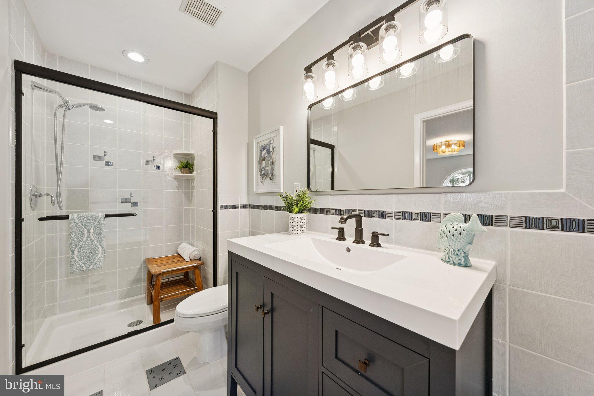 2404 Blue Valley Drive Silver Spring, MD 20904 - Photo 21 of 46 New shower door/vanity/lighting hardware & mirror