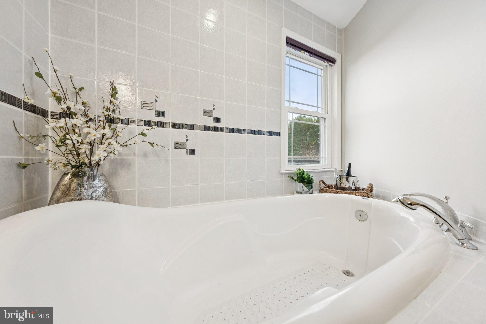 2404 Blue Valley Drive Silver Spring, MD 20904 - Photo 23 of 46 Relax in your dreamy, deep soaking jetted tub