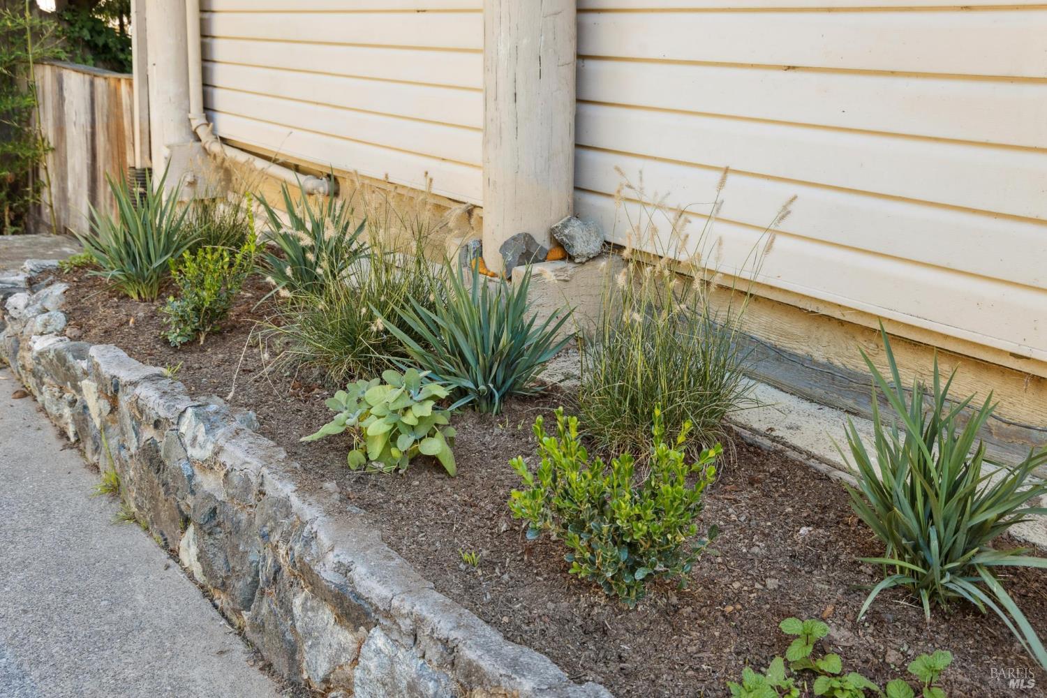 16 Dutton Court Sausalito, CA 94965 - Photo 36 of 42 Planter beds in front yard