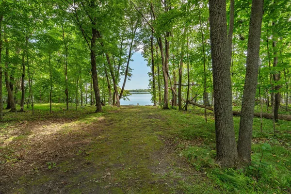 $749,900 | 38079 Dead Lake Road, Richville, MN 56576