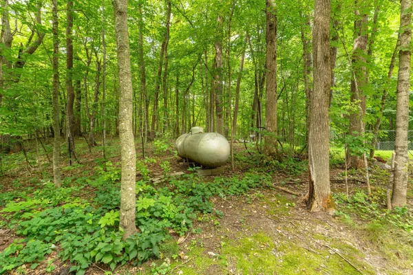 $749,900 | 38079 Dead Lake Road, Richville, MN 56576